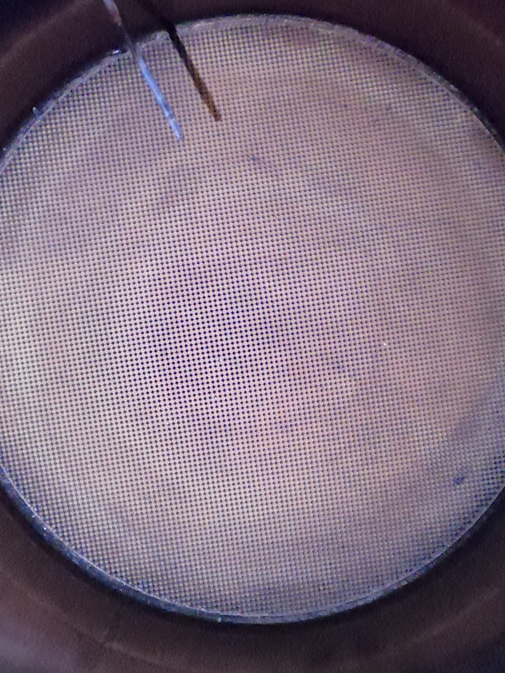 2 Bottles Dpf Filter Purge: The Most Economical Way To Clean And Protect Your Diesel Particulate Filter, Diesel Additive, High P