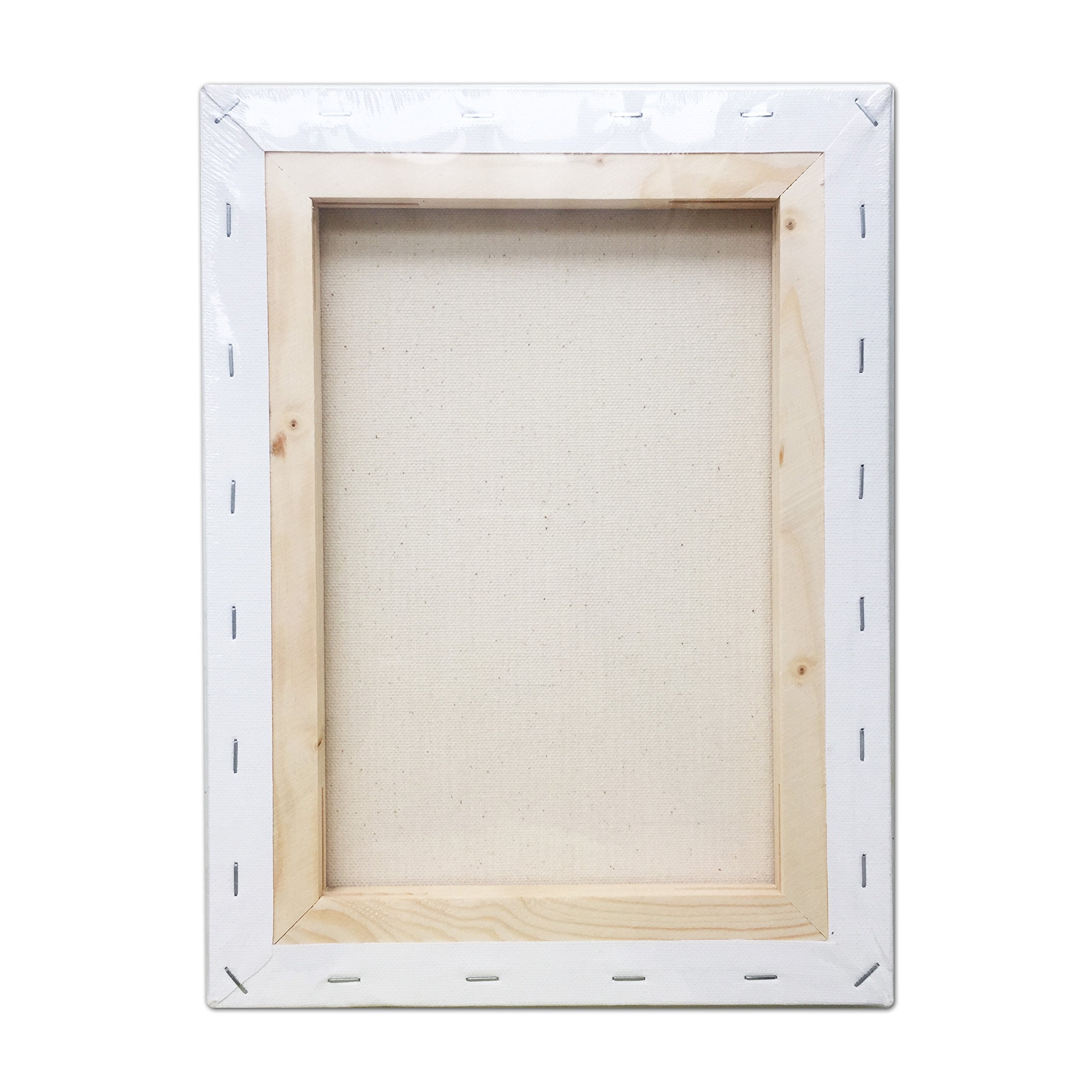 Lwr Crafts Stretched Canvas 8 X 10 Pack Of 6