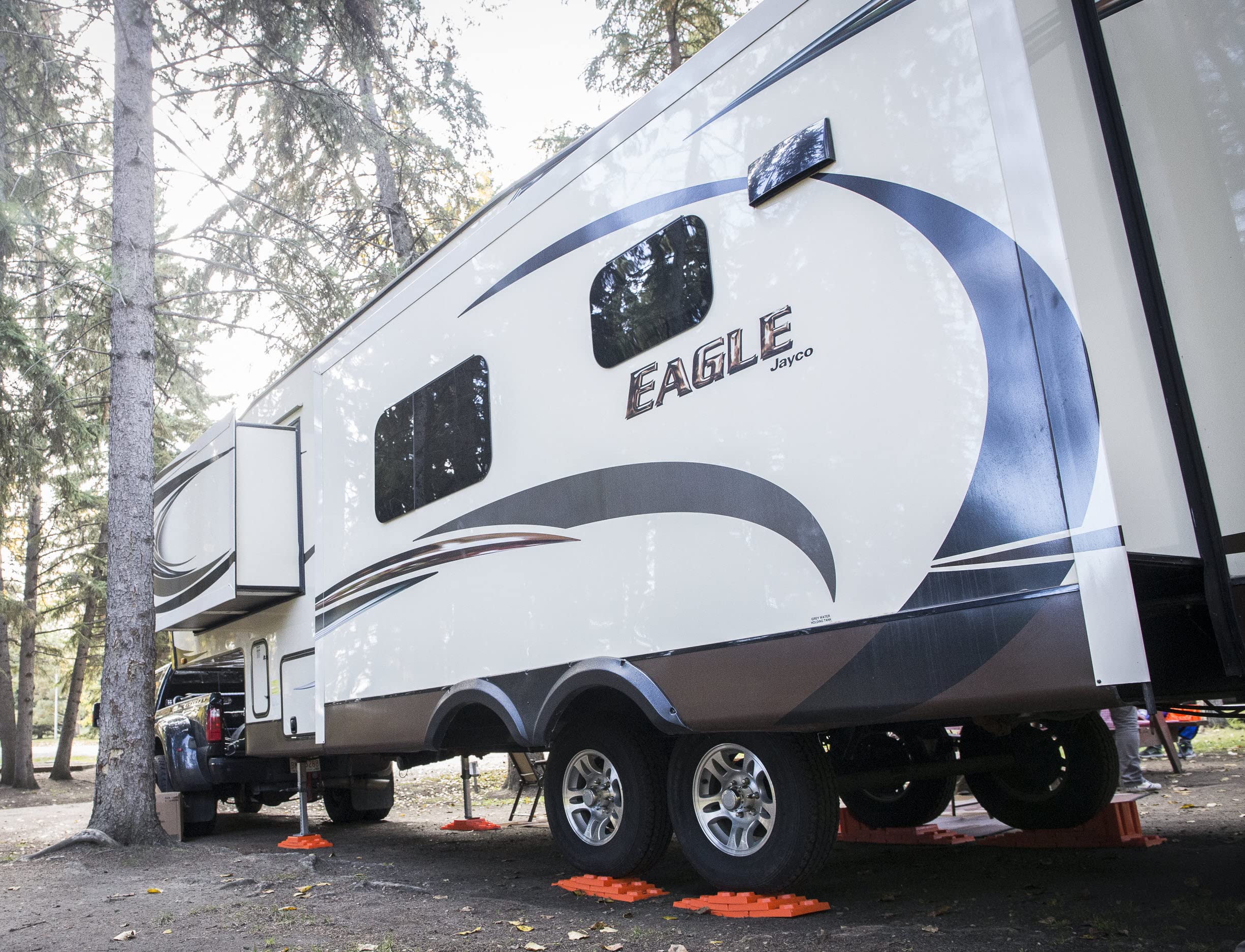 Lynx Levelers 20 Pack - 00014