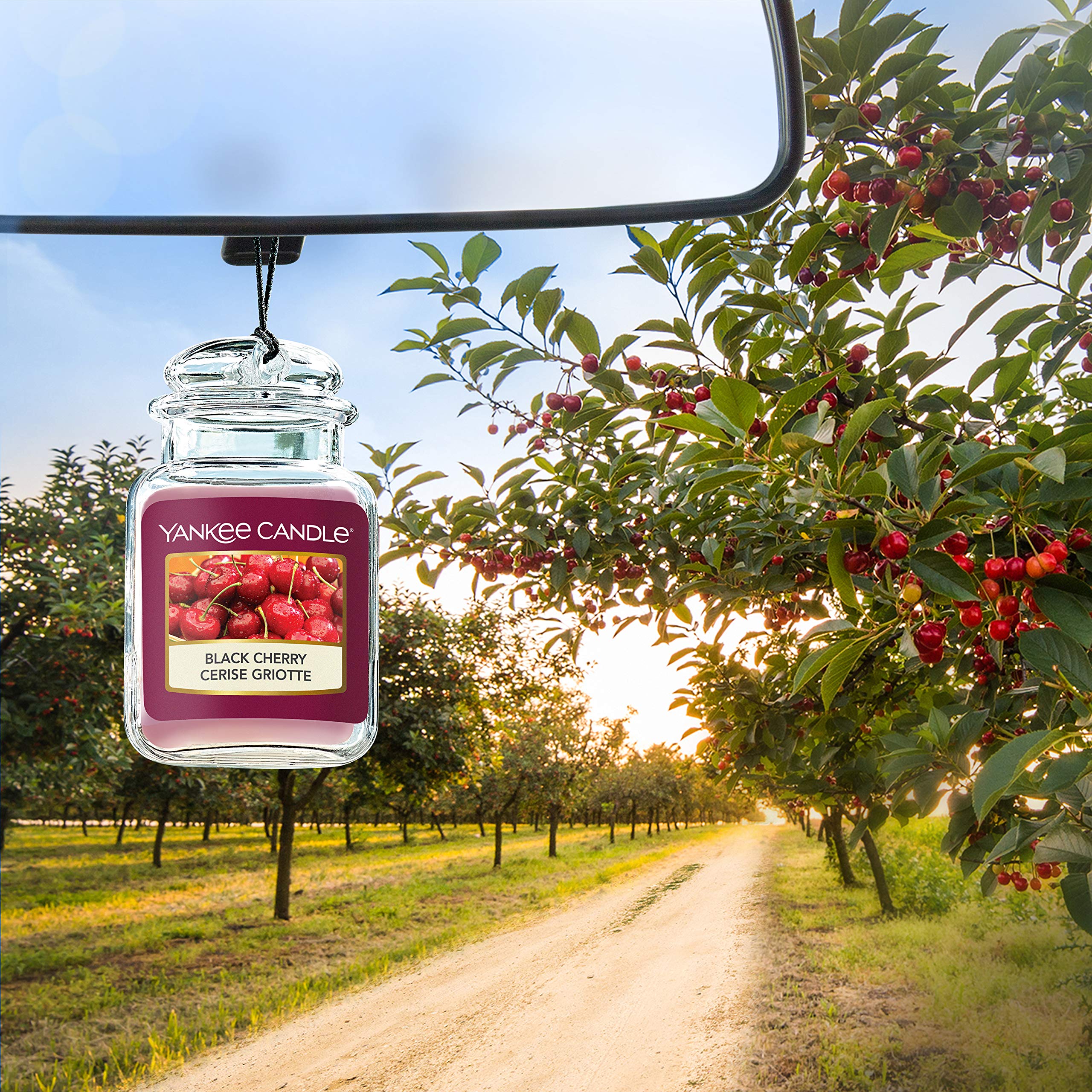 Yankee Candle 1221000E Car Freshener, Car Jar Ultimate, Black Cherry