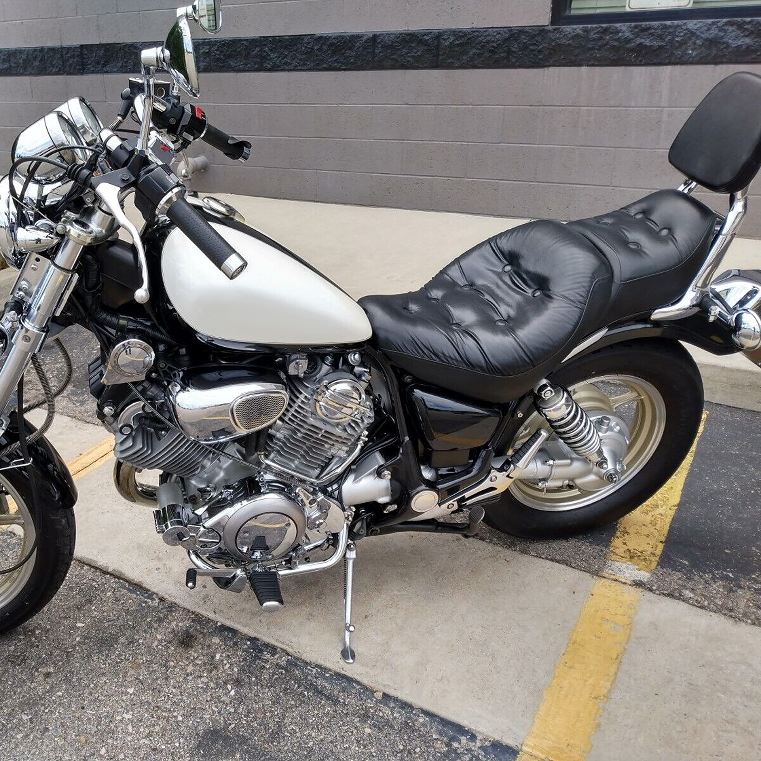 ECOTRIC Motorcycle Black Panel Battery Cover Fairing Compatible with 1984-Up Yamaha XV 700 750 1000 1100 Virago Battery Side Fairing Cover Protection (Left Side)