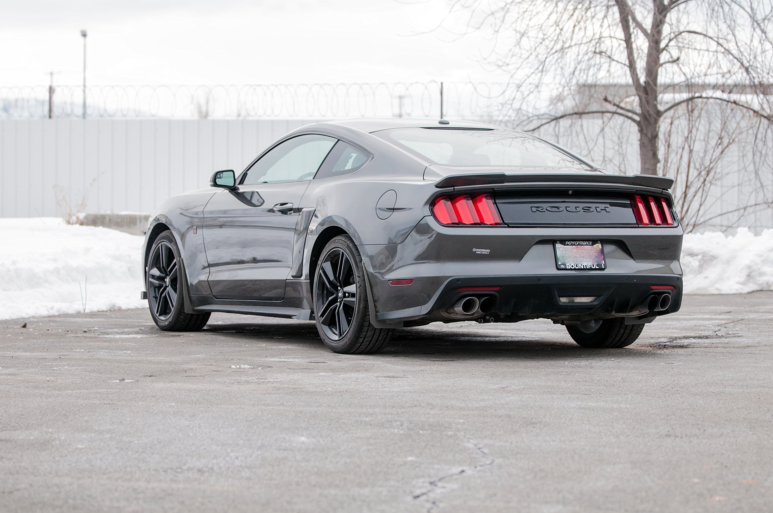 RokBlokz Splash Guards for 2015-2019 Compatible with Ford Mustang - Rock Guards Fit V6 - Ecoboost - and GT Models (Not GT350/500