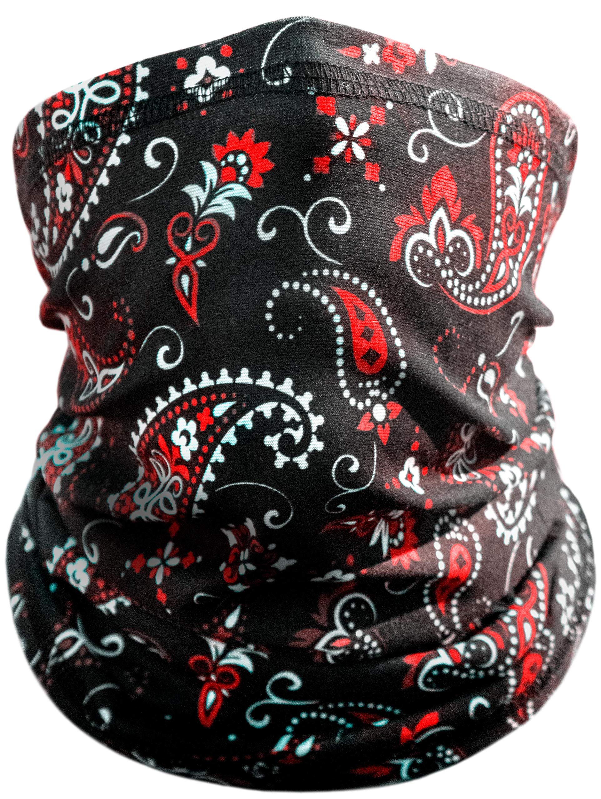 Indie Ridge Motorcycle Outdoor Face Mask - Paisley Motorcycle Ski Snowboard Winter Face Mask (Black)