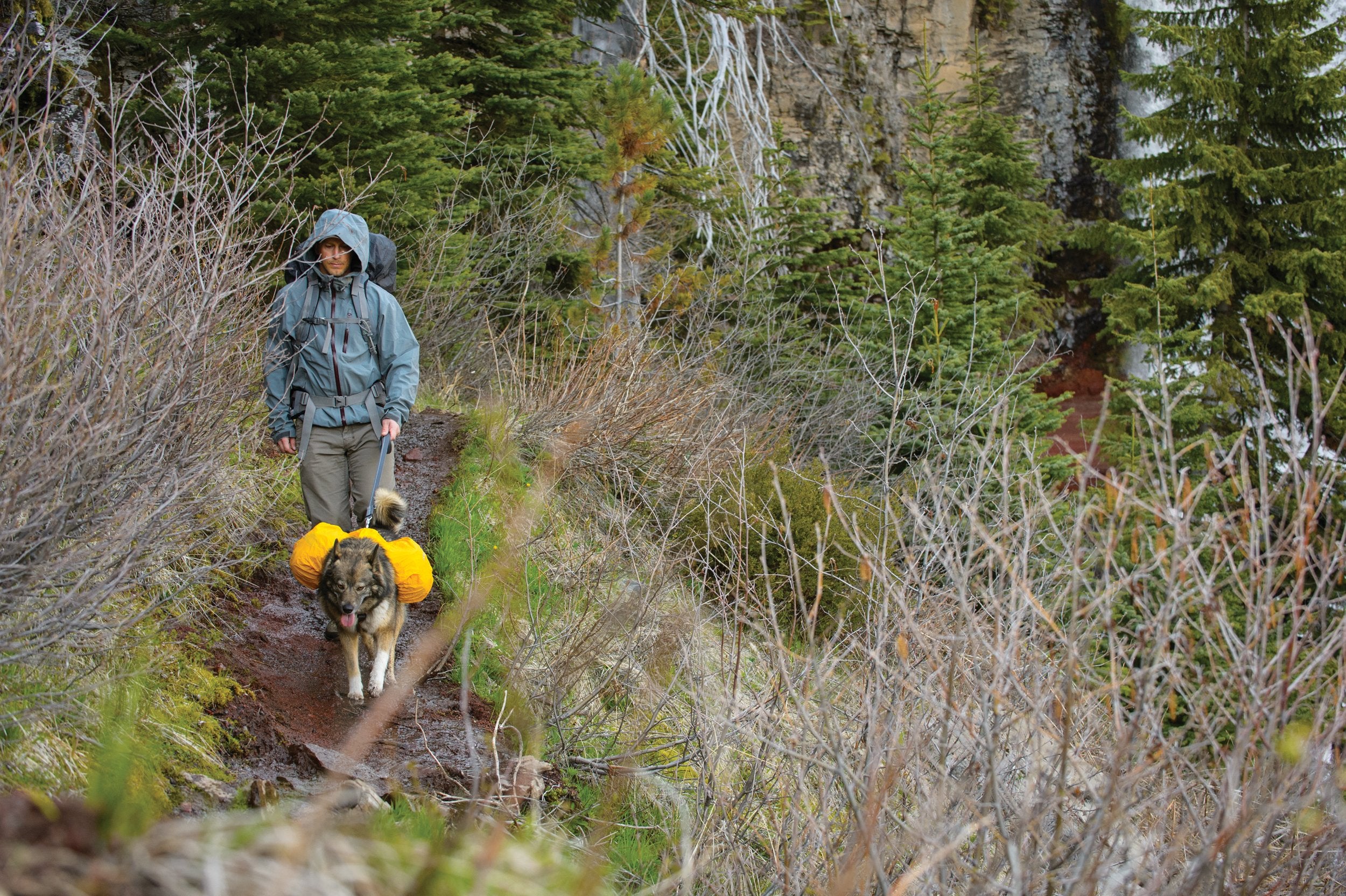 Ruffwear - Hi & Dry Saddlebag Cover, Sunrise Yellow, Xx-Small/X-Small