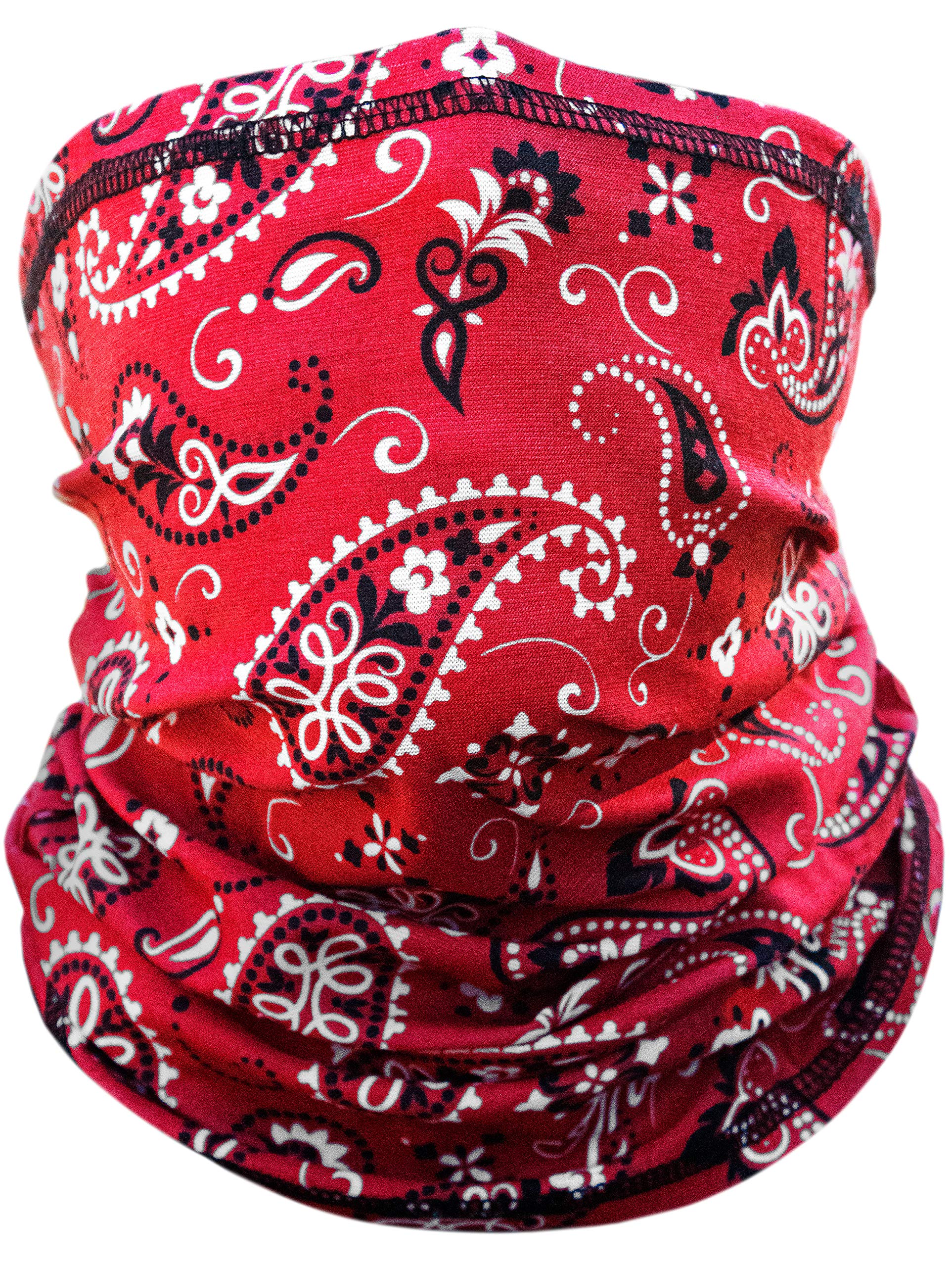 Indie Ridge Motorcycle Outdoor Face Mask - Paisley Motorcycle Ski Snowboard Winter Face Mask (Red)