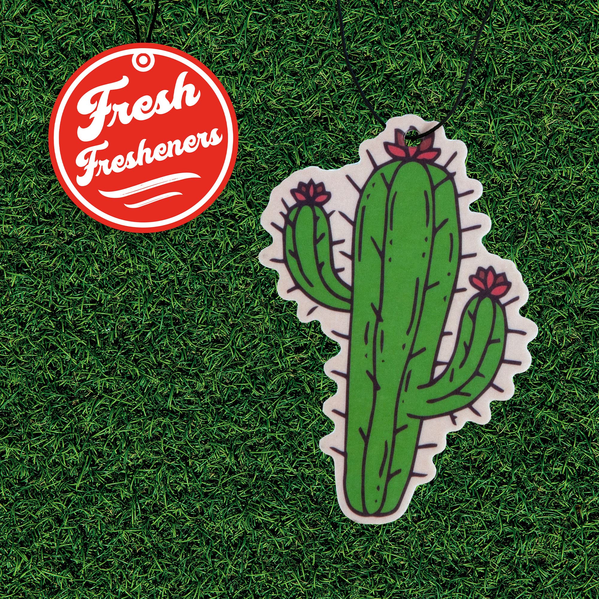 Cute Cactus Car Air Freshener 3 Pack Scented With Essential Oils (3 Pack)