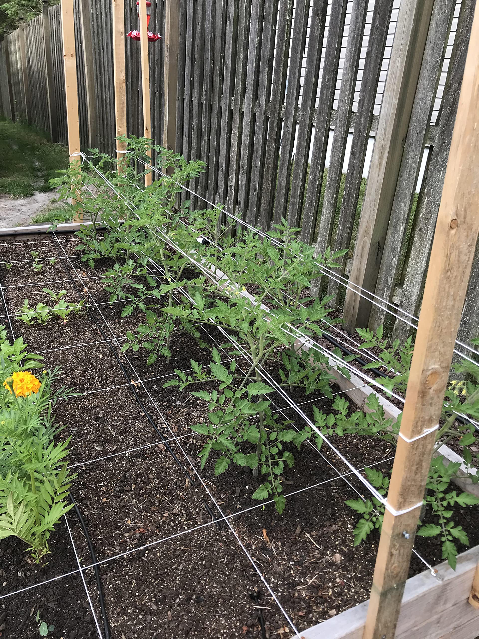 Irrigation-Mart 6300Ft Tomato Tying Garden Twine