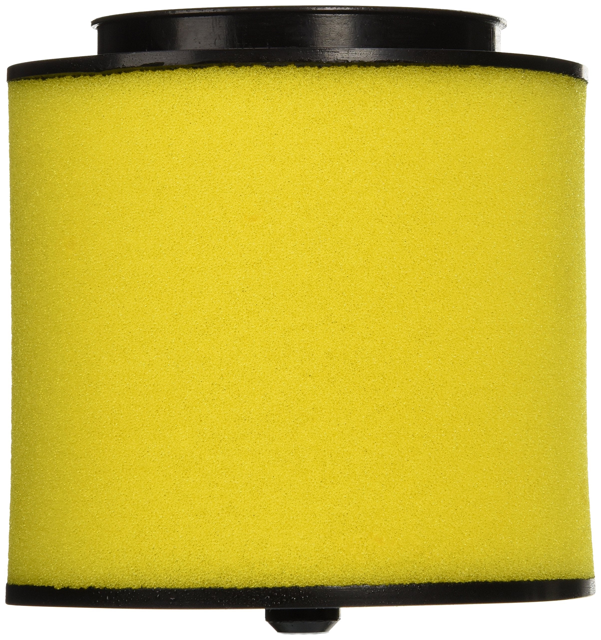 Honda 17254-HP0-A00 Air Filter