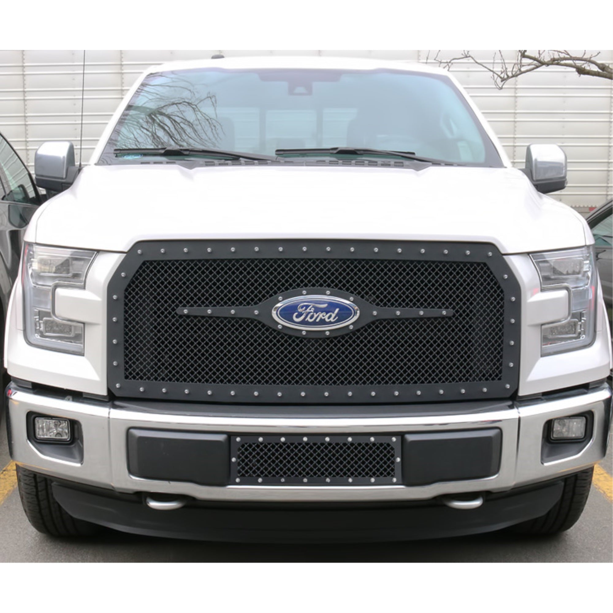 2015-2017 Ford F-150 Stainless Steel Black Powder Coated Finish 2.5 Mm Wire Mesh Rivet Style Rivet Grille