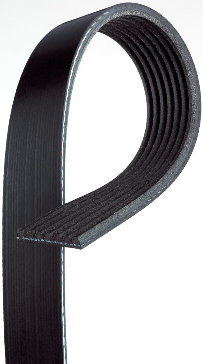 Dayco 5100503 Poly Rib Gold Label Belt for 2010 Freightliner Century  Black