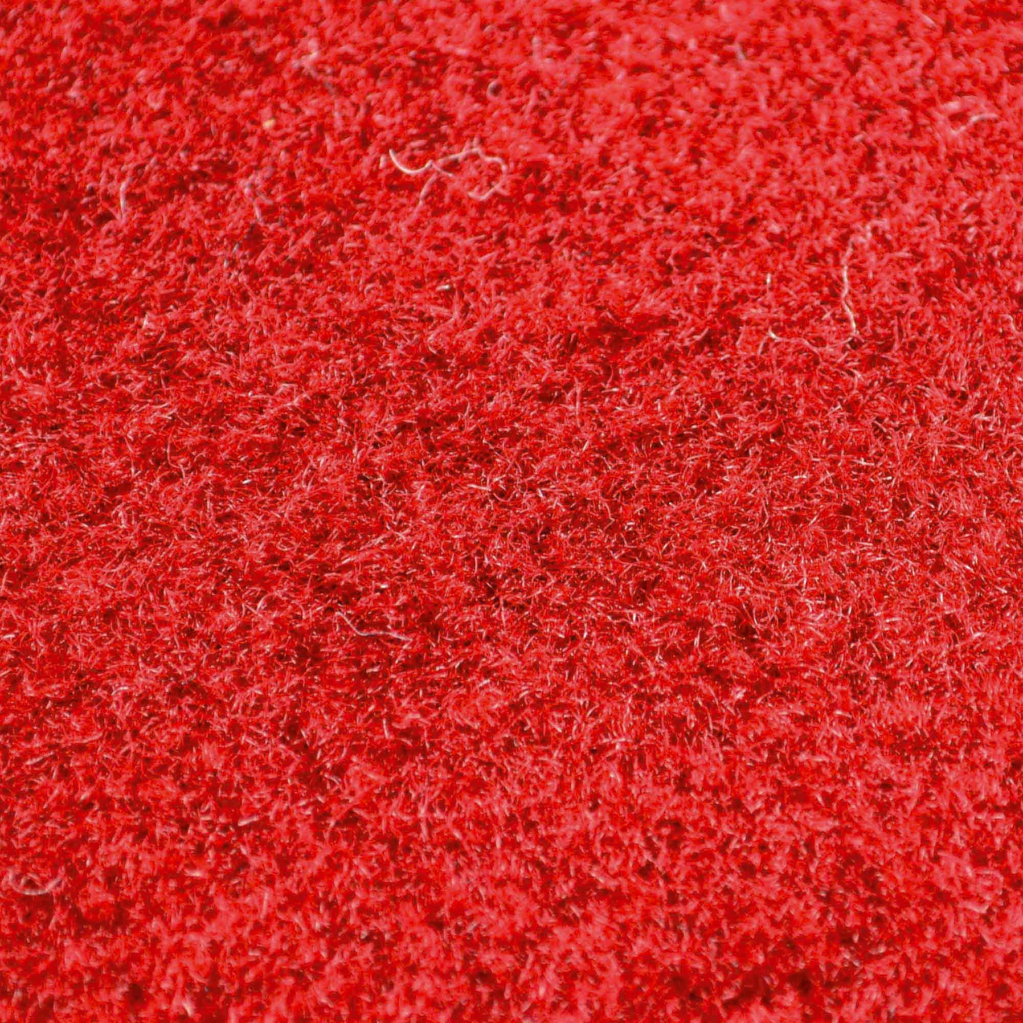 Nebraska - Blackshirts Man Cave Tailgater Rug 5'x6'(D0102H5EEAY.)