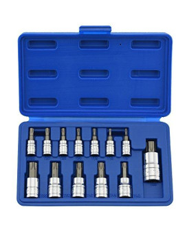 Neiko 10071A Torx Bit Socket Set, Metric, T8-T60 | 13-Piece Set, S2 and Cr-V Steel, 1/4