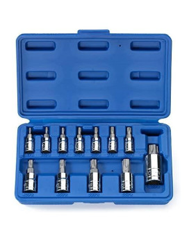 Neiko 10085A Tamperproof Torx Plus Bit Socket Set | 12 Piece | 8 IPR - 60 IPR | 5 Point Star | Cr-V and S2 Steel | High Impact ABS Blow Molded Case