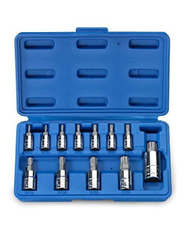 Neiko 10086A Standard Torx Plus Bit Socket Set | 12 Piece | TP8 