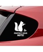 Slap-Art Protect Your Nuts Funny Squirrel Vinyl Decal Sticker