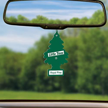 LITTLE TREES Car Air Freshener I Hanging Tree Provides Long Lasting Scent for Auto or Home I Royal Pine, 6-Packs (4 Count)