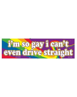 Im So Gay I Cant Even Drive Straight - Flexible Car Auto Bumper Magnet - Hilarious!