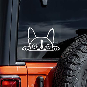 Boston Terrier Dog K9 Peeking Over Vinyl Car Truck Decal Sticker | White | 6"