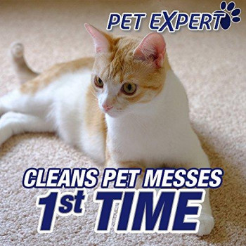 Resolve Pet Expert High Traffic, Carpet Foam, 22 oz (Pack of 2)