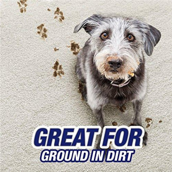 Resolve Pet Expert High Traffic, Carpet Foam, 22 oz (Pack of 2)