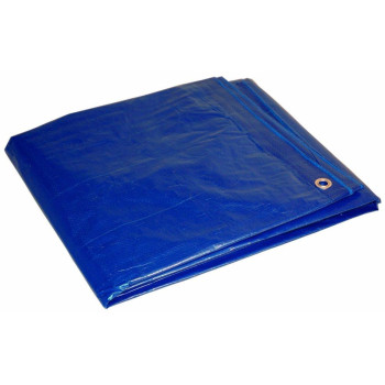 12X20 Multi-Purpose Blue Medium Duty Dry Top Poly Tarp (12X20)