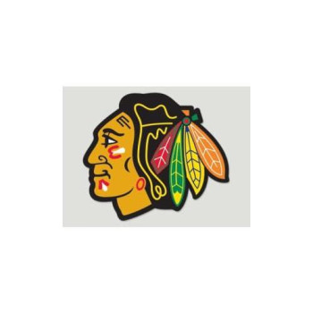 Wincraft Nhl Chicago Blackhawks Die-Cut Color Decal, 8"X8", Team Color