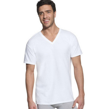 Hanes Ultimate Mens 6 Pack Freshiq V-Neck Tee, White, Small