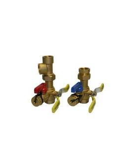 Rheem RTG20220AB Webstone Tankless Water Heater Service Valve Kit, Clean Brass