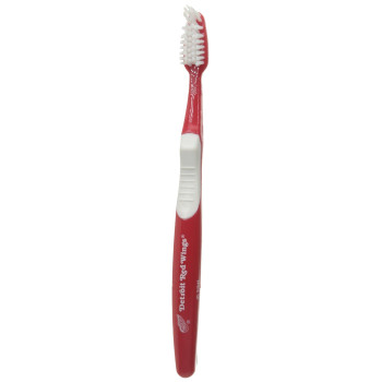 Siskiyou Sports NHL Detroit Red Wings Toothbrush