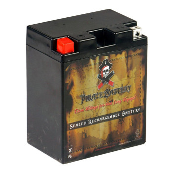 Pirate Battery Yb14A-A2 Conventional Replacement Battery For Atv, Motorcycle, Personal Watercraft, And Snowmobile: 12 Volts, 14 Amps, 14Ah, Nut And Bolt (T3) Terminal