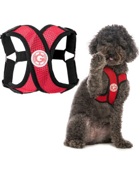 Gooby Comfort X Step In Harness - Red, Medium - Comfort X Step-In Small Dog Harness Patented Choke-Free X Frame - On The Go Dog Harness For Medium Dogs No Pull Or Small Dogs For Indoor And Outdoor Use