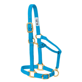 Weaver Leather Original Adjustable Nylon Horse Halter, Hurricane Blue, Arabiancob