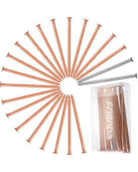 Frienda 20 Pcs Copper Nails For Killing Trees Stump Root 3.5 Inch Long Nail Spikes For Killing Tree, Stump Removal Spikes With 2 Pcs 3.5 Inch Large Steel Nails And 1 Pcs Storage Box