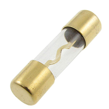 AUTUT 10 Pcs Auto Car Audio Gold Plated AGU Fuse 40A