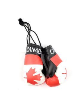 Red Hat Ent Hanging Car Mirror Mini Boxing Gloves (Canada)