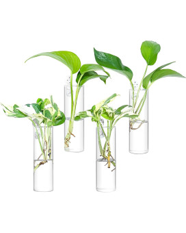 Ivolador 4Pcs Wall Hanging Glass Plant Terrarium Container Cylinder Shape Perfect For Propagating Hydroponic Plants Home Office Garden Decor Wedding