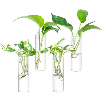 Ivolador 4Pcs Wall Hanging Glass Plant Terrarium Container Cylinder Shape Perfect For Propagating Hydroponic Plants Home Office Garden Decor Wedding