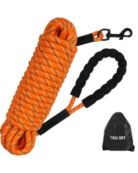 Taglory Long Leash For Dog Training, 66 Ft Reflective Nylon Rope Lead, Check Cord With Comfortable Padded Handle For Large Medium Small Dogs Walking, Camping, Orange