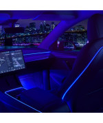 Nestour 2021 2022 2023 Tesla Model 3 Y Interior Car Neon Lights (Center Consoledashboardseat4 Foot Lights) With Matching Armrest Organizer, Tesla Ambient Lights, App-Controlled Rgb Led Strip Lights