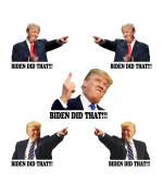 100 Pcs I Did That Biden Stickers, Biden I Did That Stickers, Funny Biden Did That Stickers, Mixed 5 Different Patterns, 3