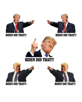 100 Pcs I Did That Biden Stickers, Biden I Did That Stickers, Funny Biden Did That Stickers, Mixed 5 Different Patterns, 3