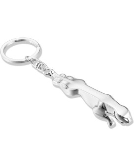 Cjzy Car Logo Keyring 3D Chrome Metal Alloy Keychain Gifts Fit Car Accessories (Fit Jaguar)