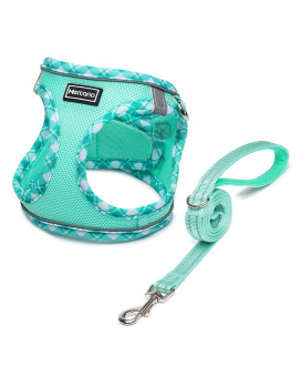 Mercano Soft Mesh Dog Harness And Leash Set, No-Chock Step-In Reflective Breathable Lightweight Easy Walk Escape Proof Vest Harnesses With Safety Buckle For Small Medium Dogs, Cats (Light Green, L)