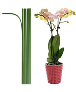 Plant Stakes (35 38 12-Pcs, Green)