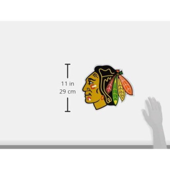 Chicago Blackhawks Magnet Car Style 12 Inch Co