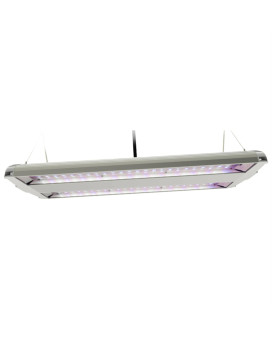 Grow Light Dual Blu14