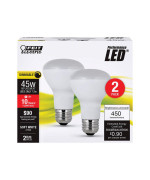 Led Feit R20 45W Eq Sw