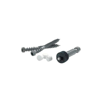 Screws 2-3/4L Trim Head