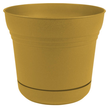 Planter Yellow 7