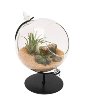 Terrarium W/Stand 4.5D